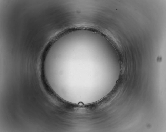 X0000102830448200808181052