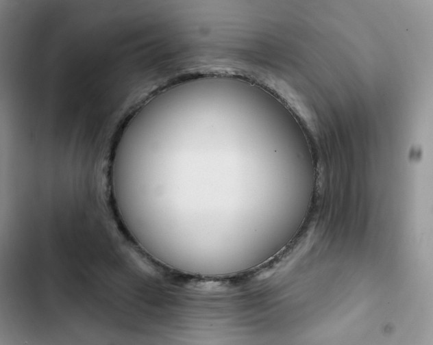 X0000102830449200808181052