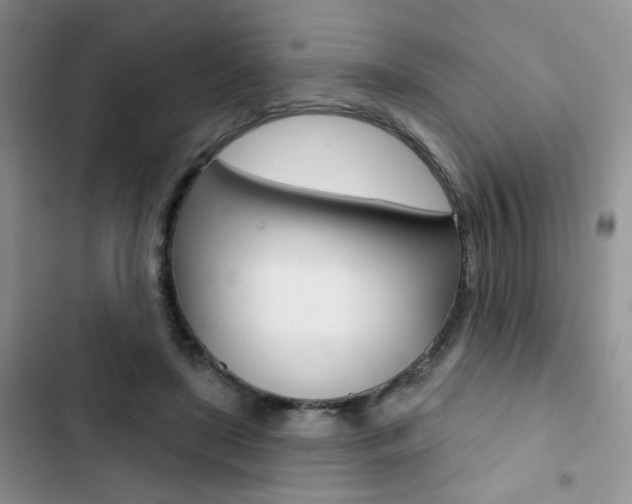 X0000102830451200808181052