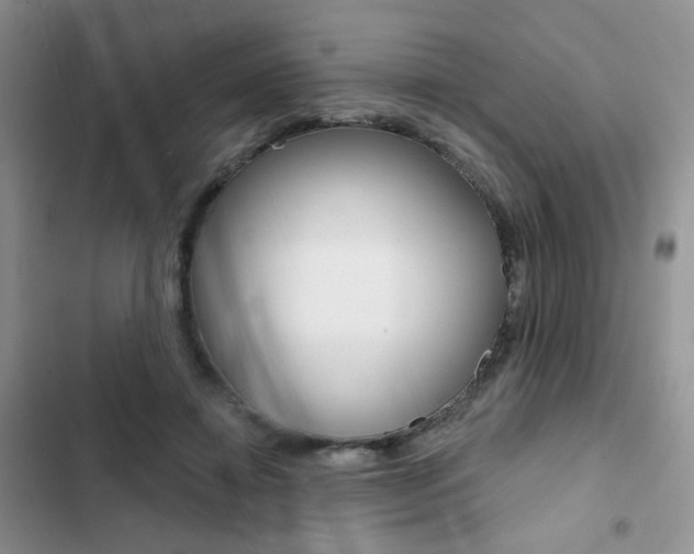 X0000102830452200808181052
