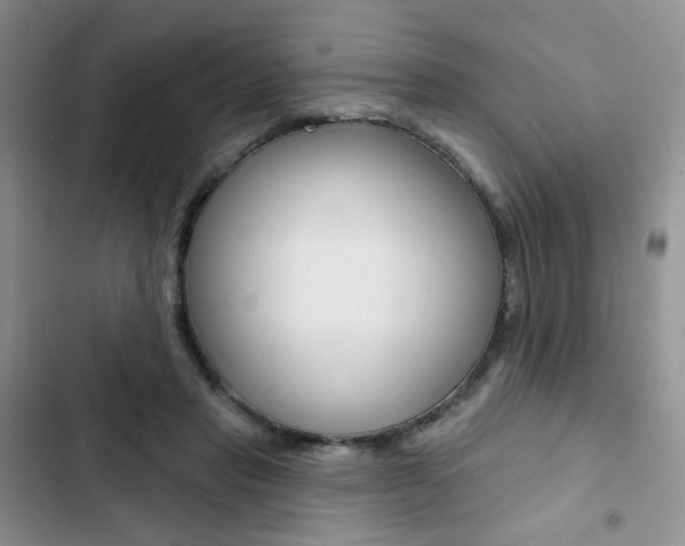 X0000102830453200808181052