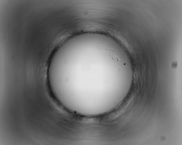 X0000102830454200808181052