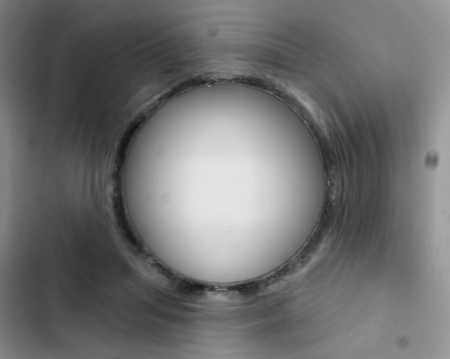 X0000102830455200808181052