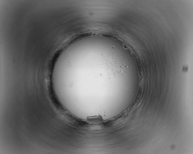 X0000102830456200808181052