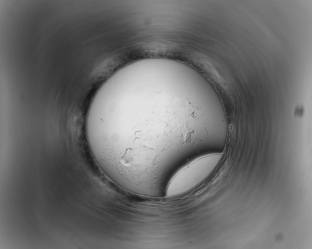 X0000102830458200808181052