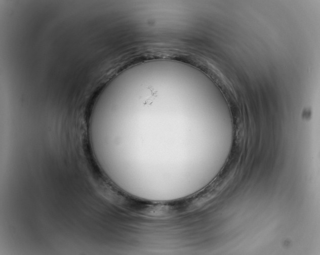 X0000102830459200808181053