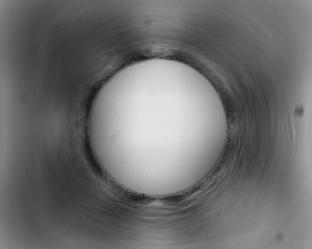 X0000102830460200808181053