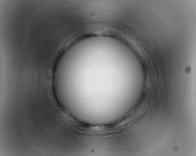 X0000102830461200808181053