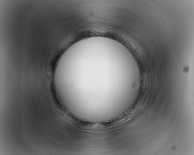 X0000102830463200808181053