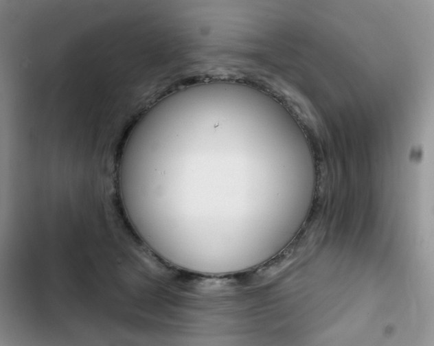X0000102830465200808181053
