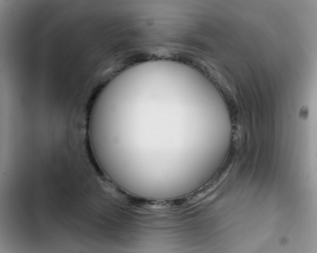 X0000102830466200808181053