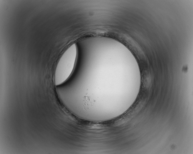 X0000102830467200808181053