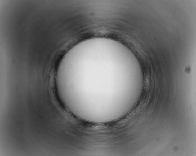 X0000102830468200808181053