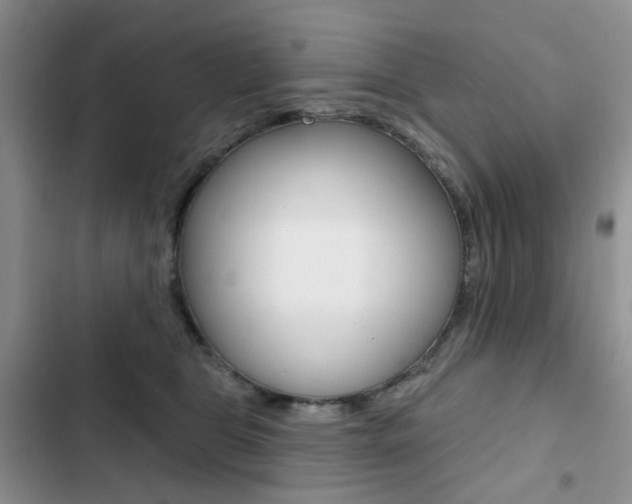 X0000102830469200808181053