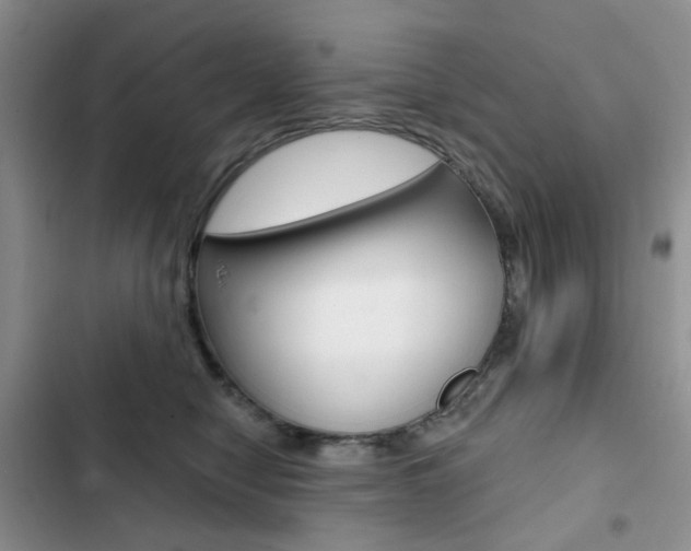 X0000102830470200808181053