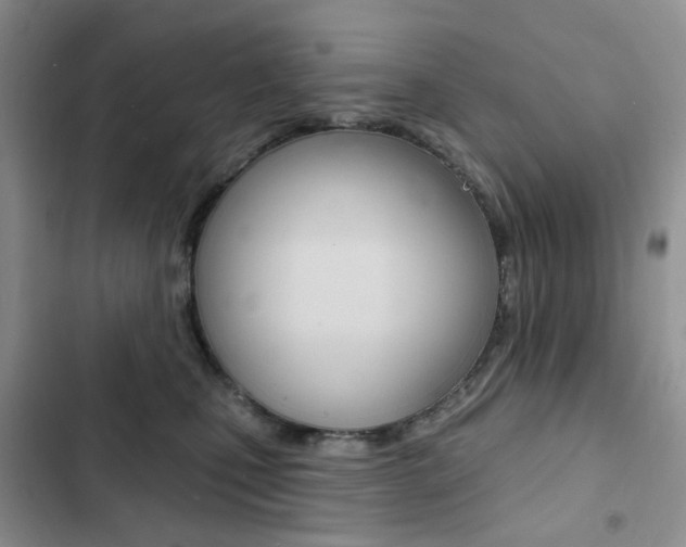 X0000102830471200808181053