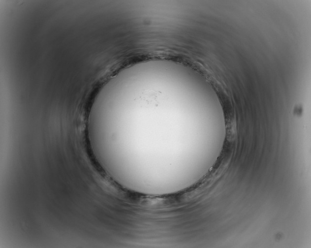 X0000102830472200808181053