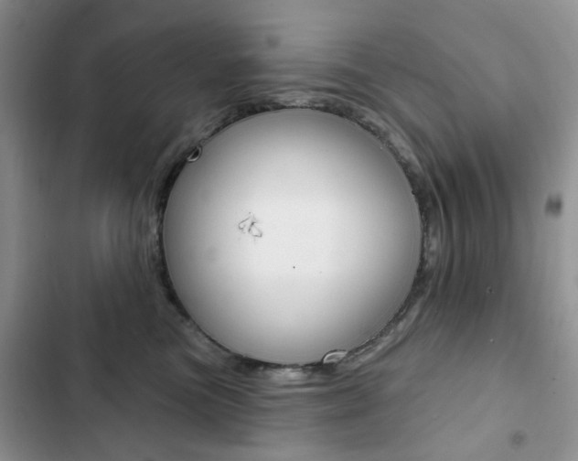 X0000102830473200808181053