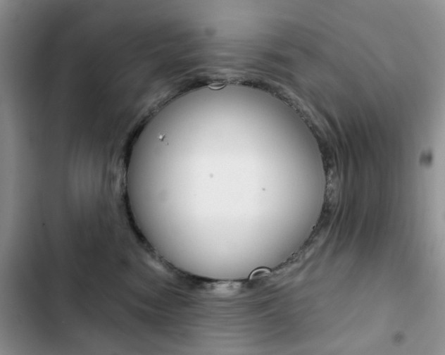 X0000102830474200808181053