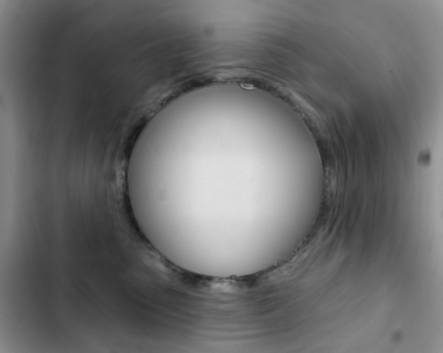 X0000102830475200808181053