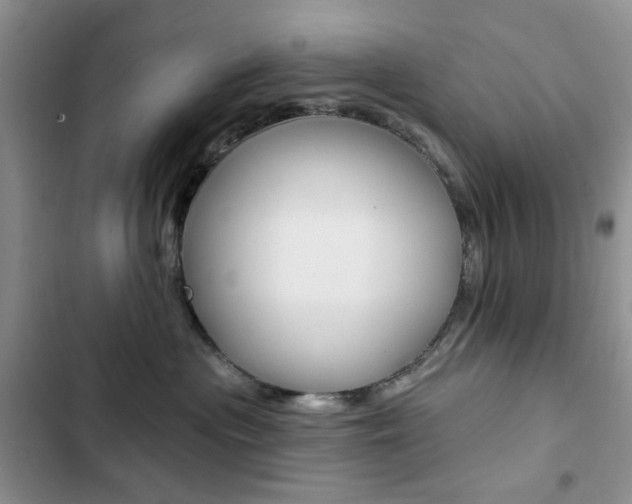 X0000102830477200808181053