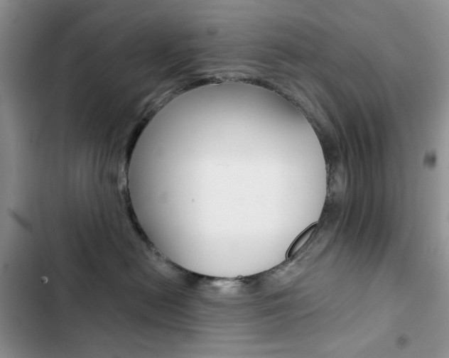 X0000102830478200808181053