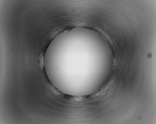 X0000102830479200808181053