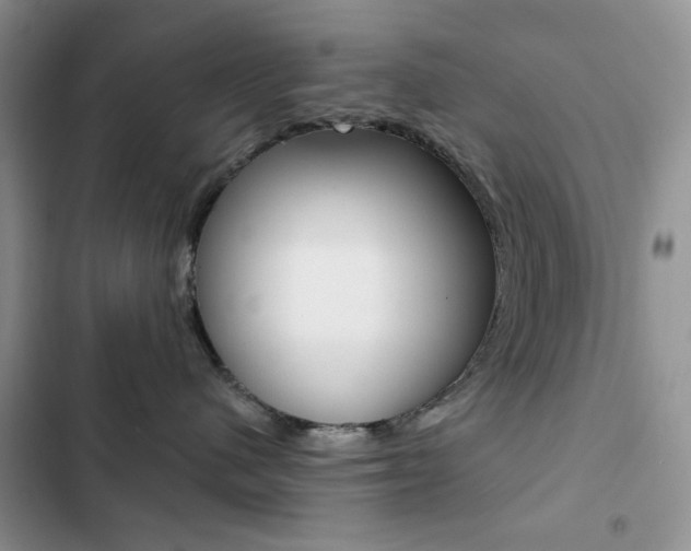 X0000102830480200808181053