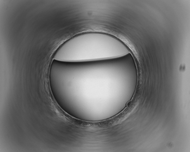 X0000102830481200808181052
