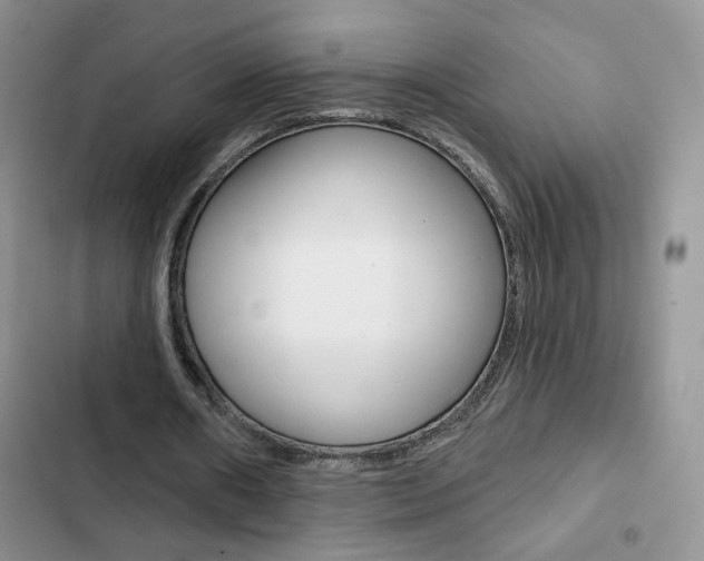 X0000102830482200808181052