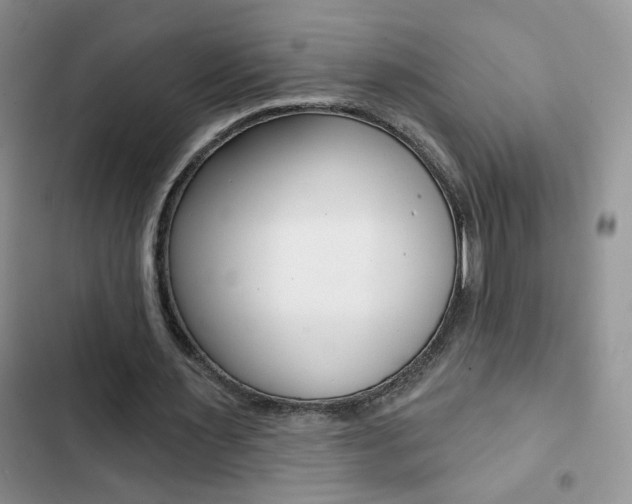 X0000102830483200808181052