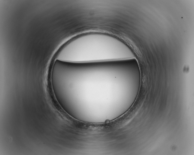 X0000102830484200808181052