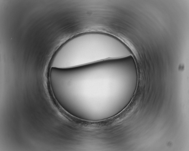 X0000102830485200808181052