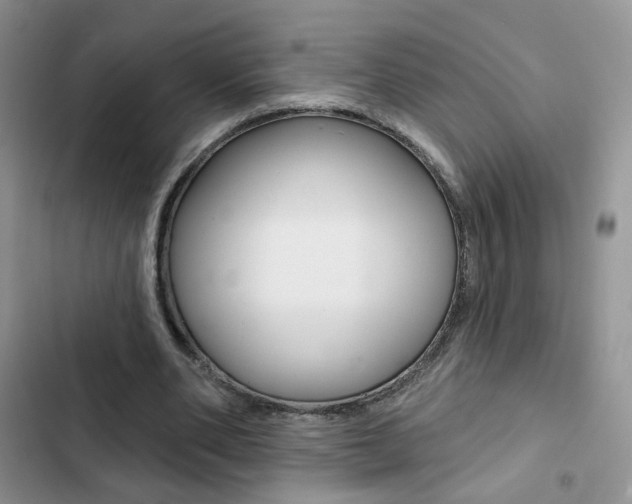 X0000102830486200808181052