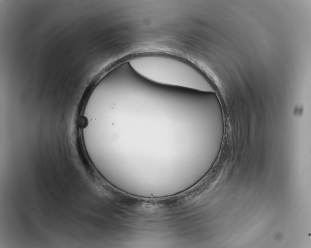 X0000102830487200808181052