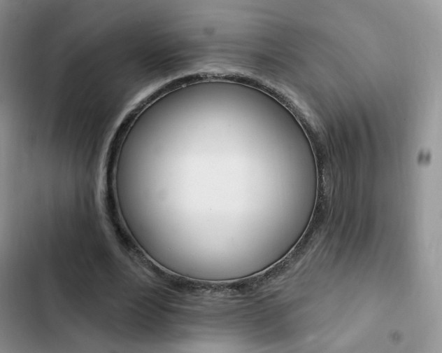 X0000102830488200808181052