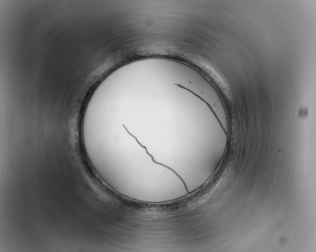 X0000102830489200808181052