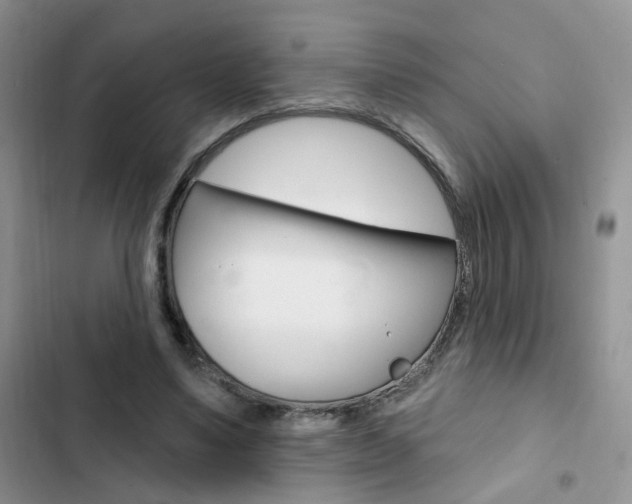 X0000102830491200808181052