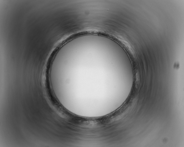 X0000102830492200808181052