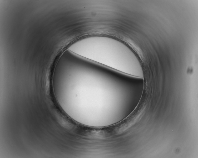 X0000102830493200808181052