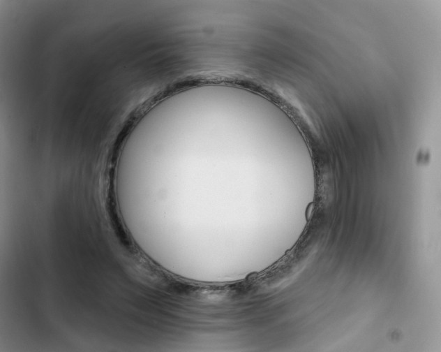 X0000102830495200808181052