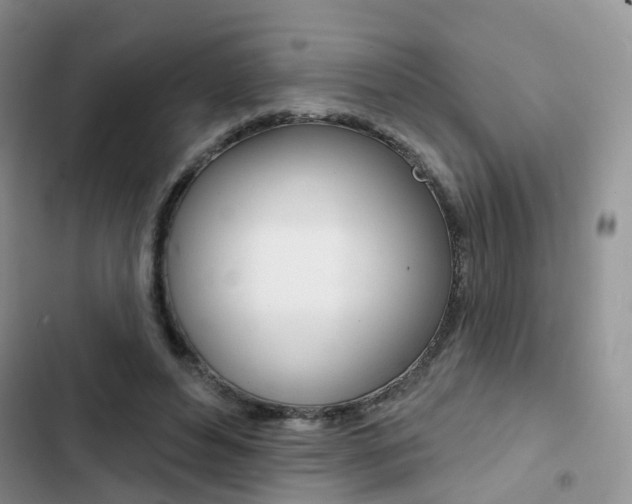 X0000102830496200808181052