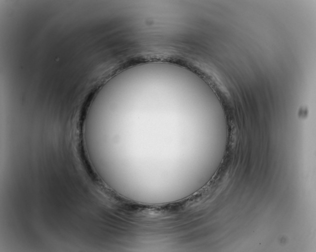 X0000102830498200808181052