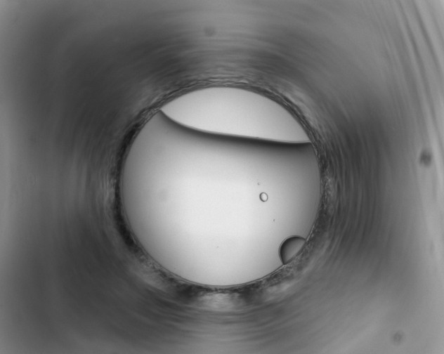 X0000102830499200808181052
