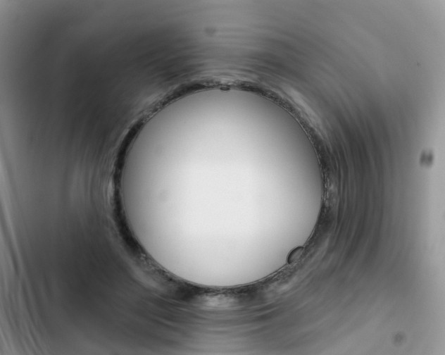 X0000102830500200808181052