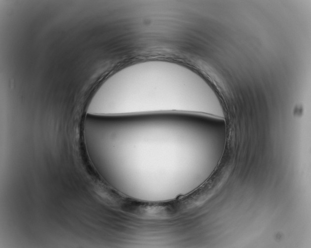 X0000102830501200808181052
