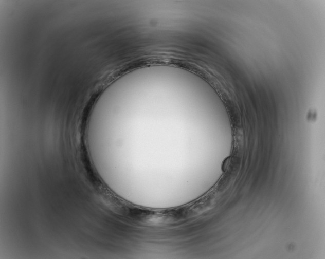 X0000102830504200808181052