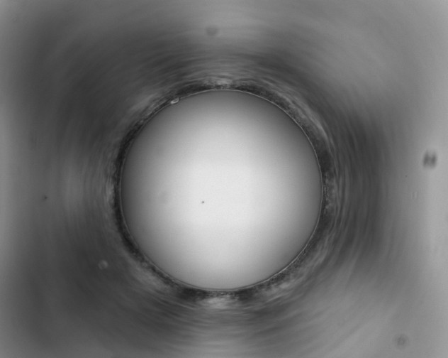 X0000102830505200808181052
