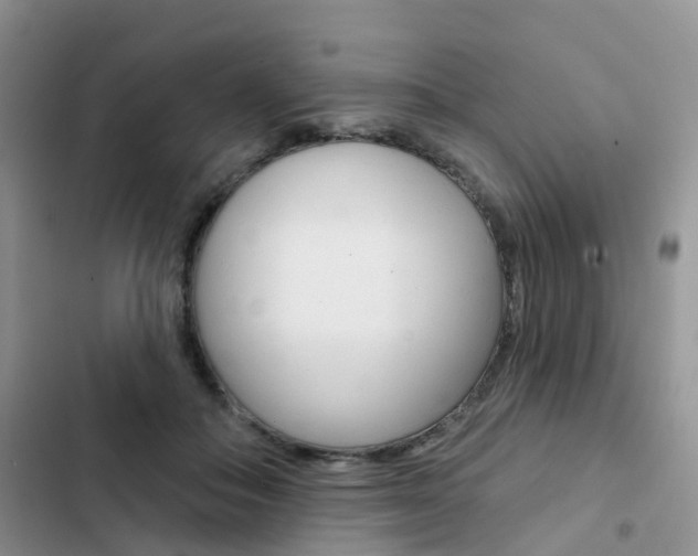 X0000102830506200808181052