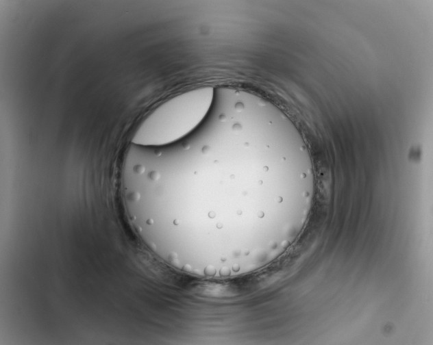 X0000102830507200808181052